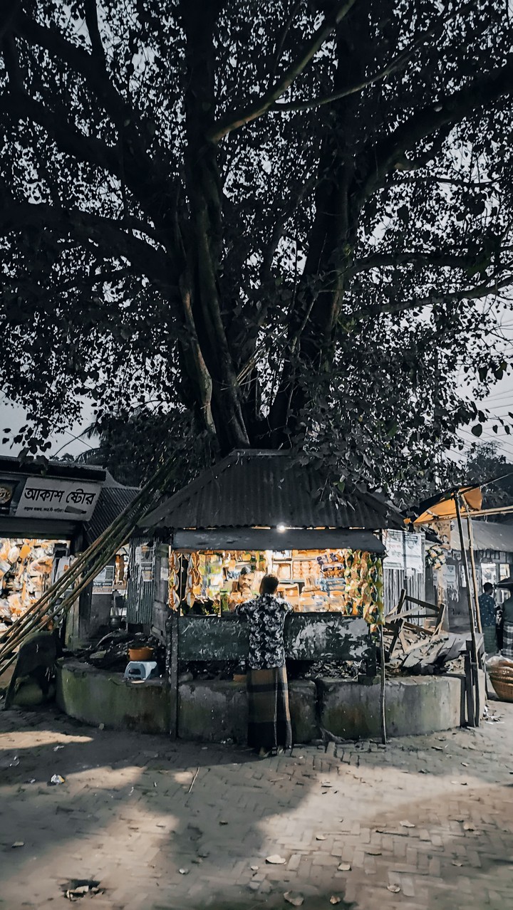 Old Shop