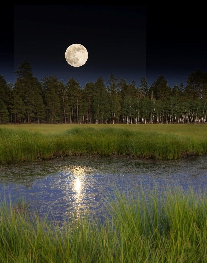 Lua linda... Beauty moon...
