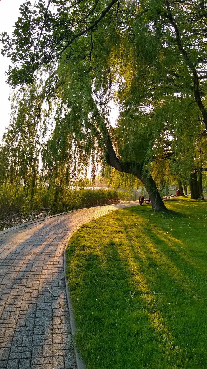 Szczecinek