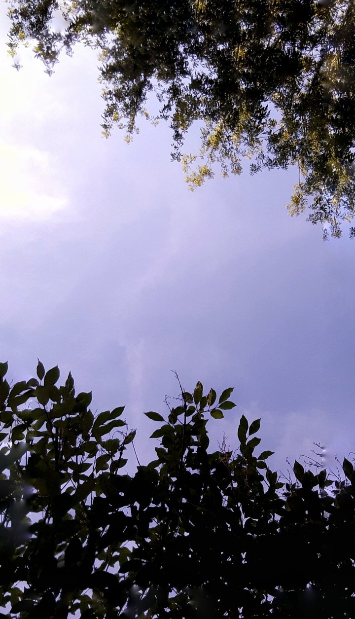 blue sky