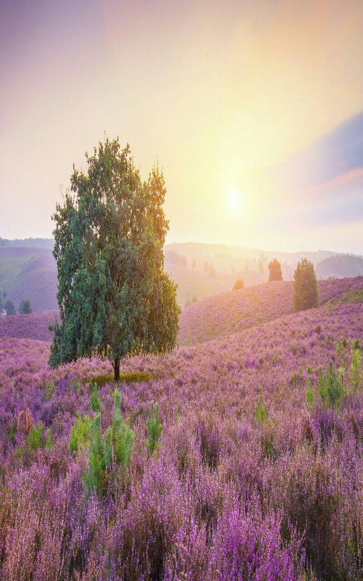 Nature