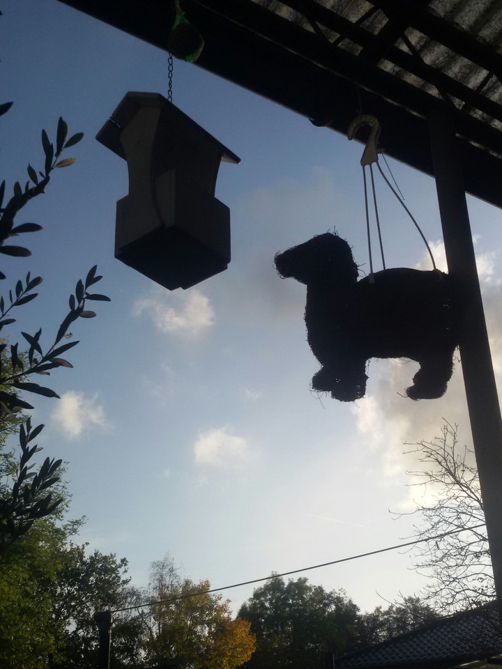 Sky