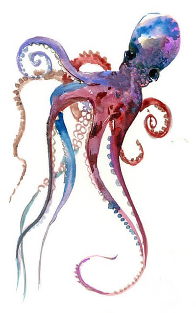 Krake