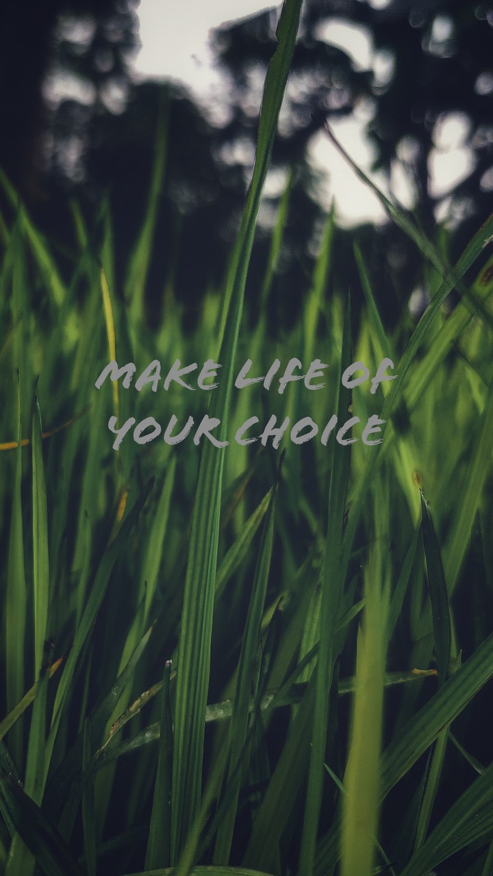 Lead ur life