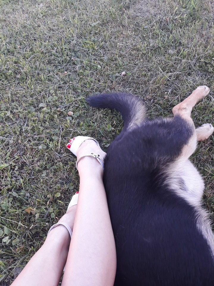 legs)))