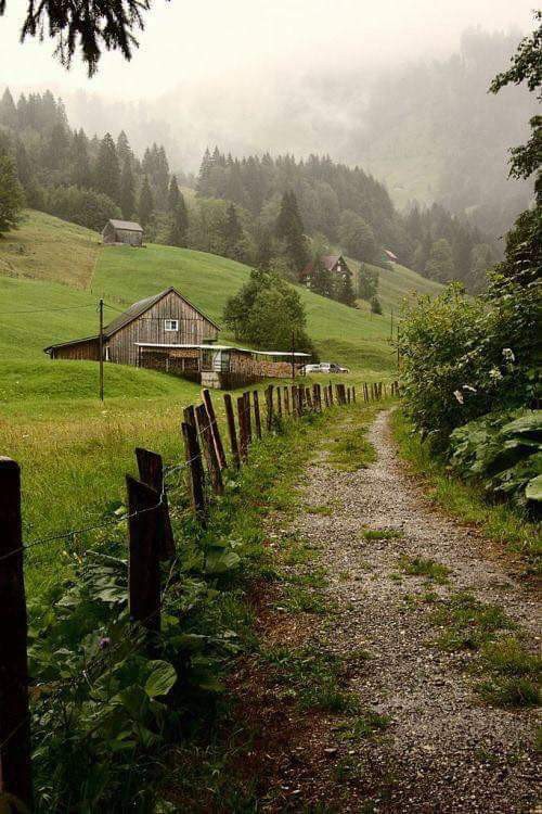 Nature