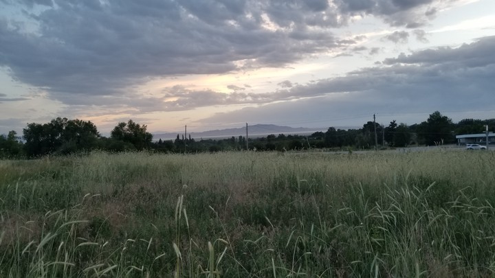 salt lake field