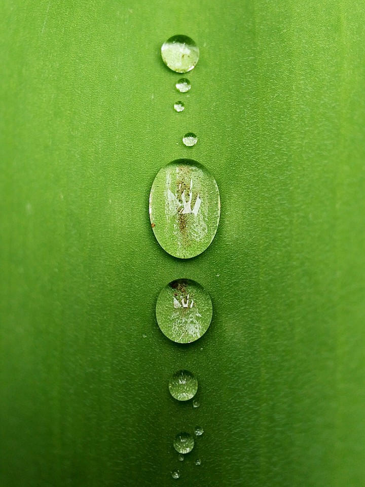 water drops