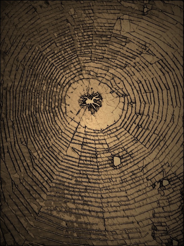 spider web