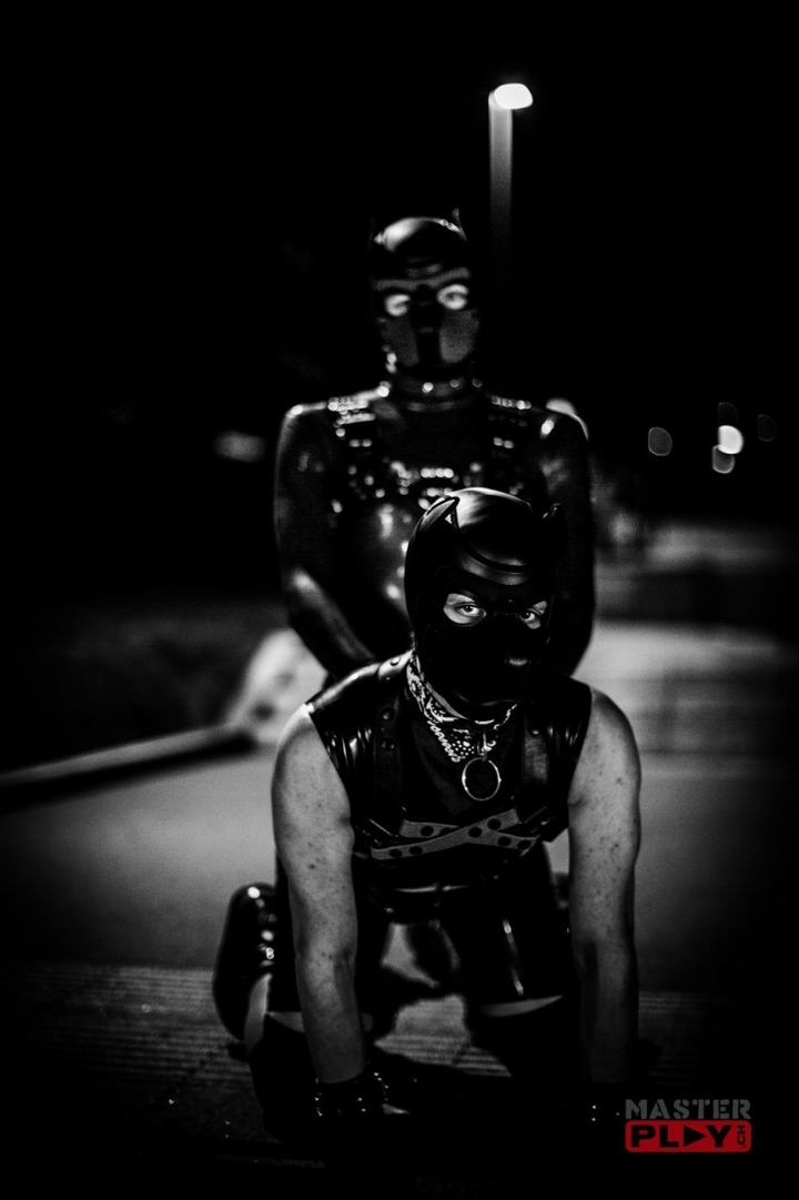 Rubber Petplayer