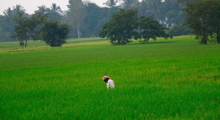 Farmer