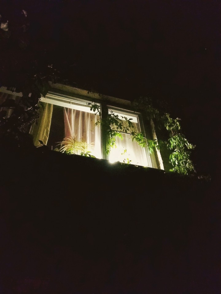 WINDOW