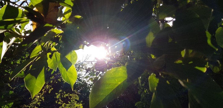 the sun is so pretty