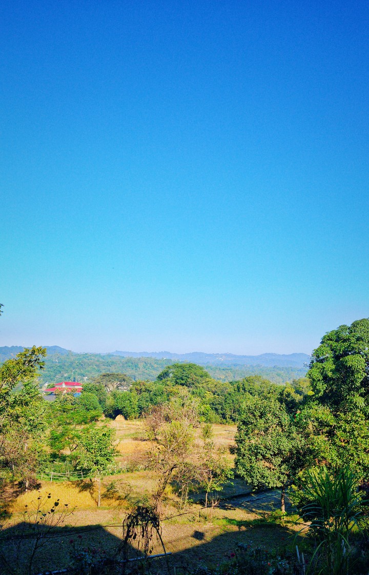 View from my home