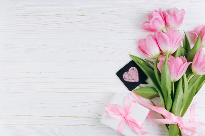Pink Tulips