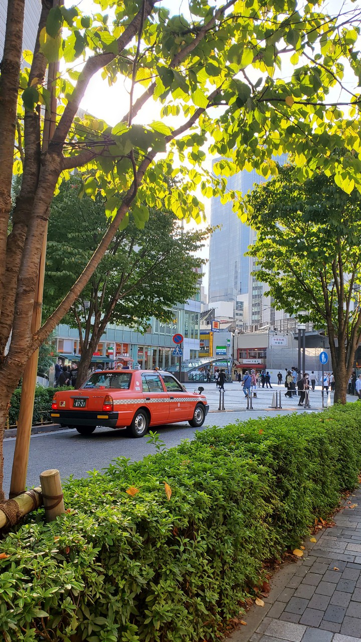 orange taxi
