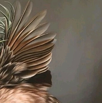 6x puzzle bird