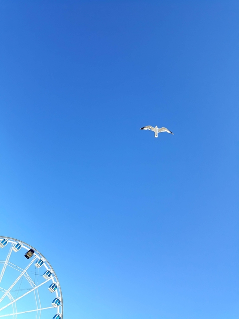 sky