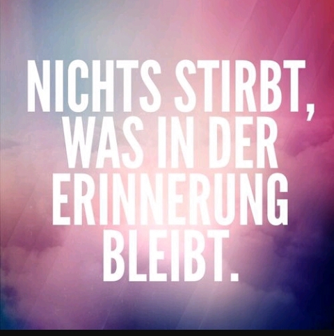 Spruch