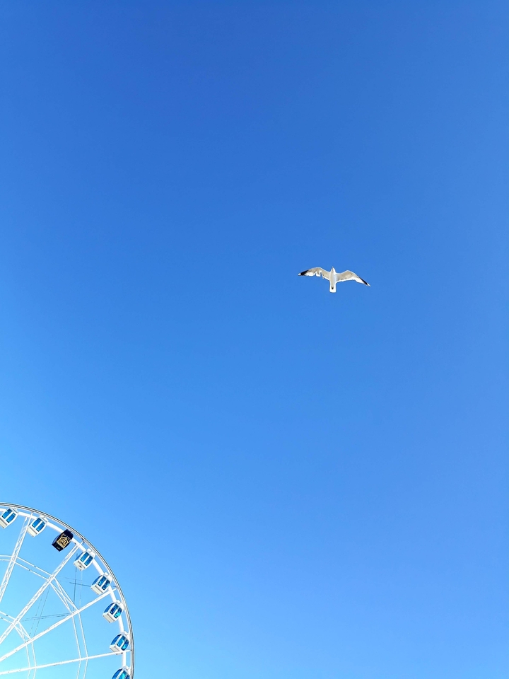 sky