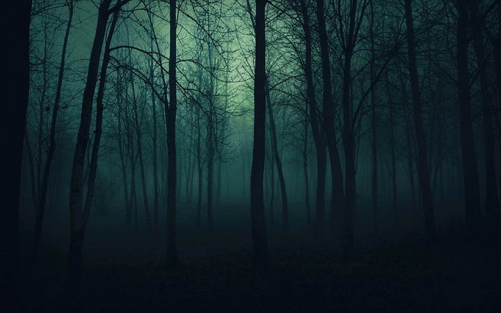 forest