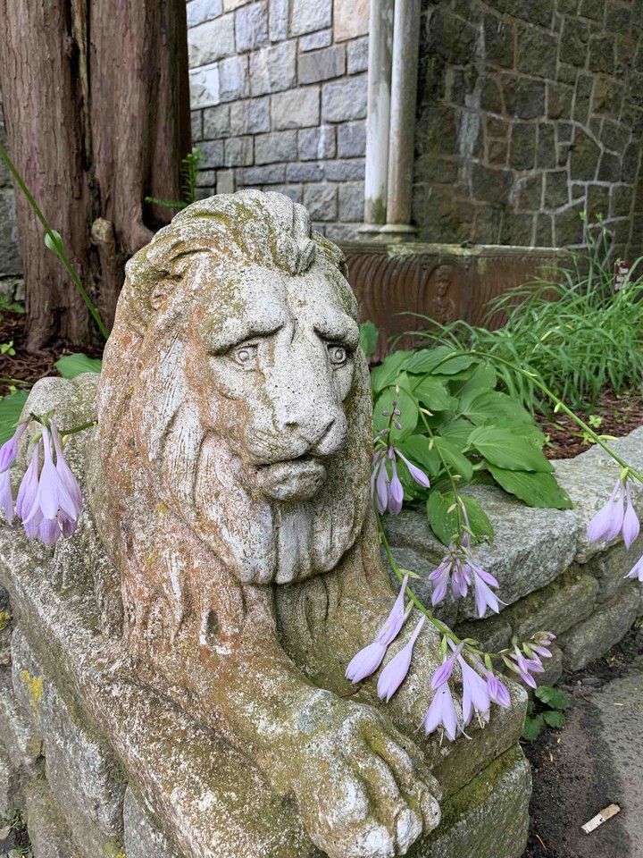 lonely lion statue
