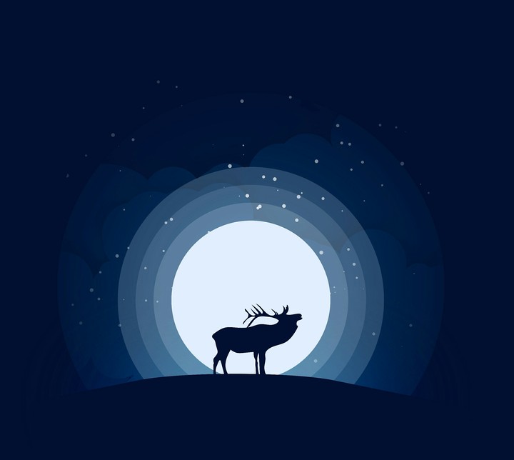 The Caribou at night