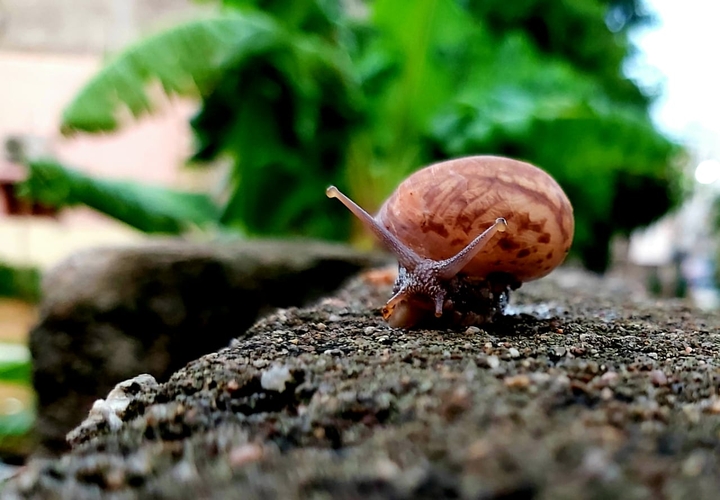 Enjoying little big world