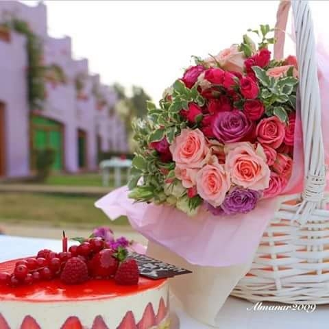 cake