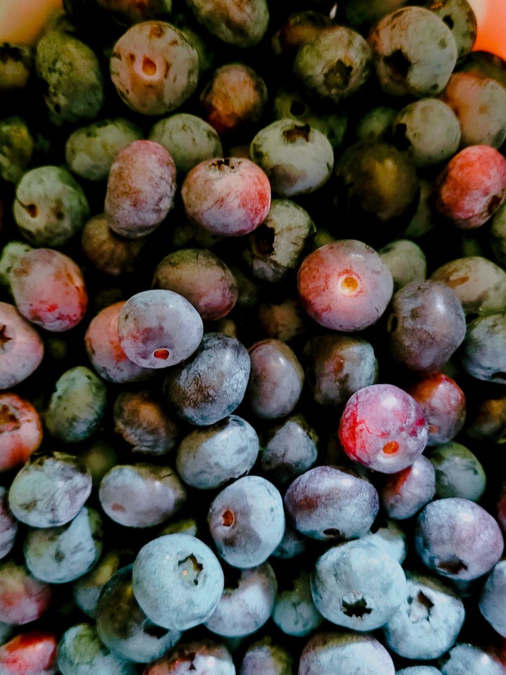 delicious blueberries
