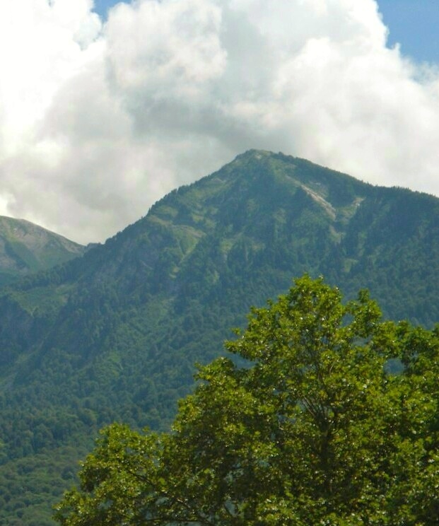 Mountain