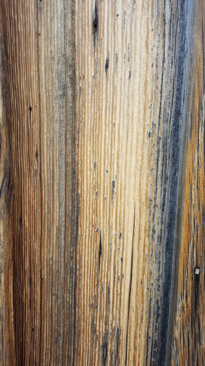 Abandoned Wood