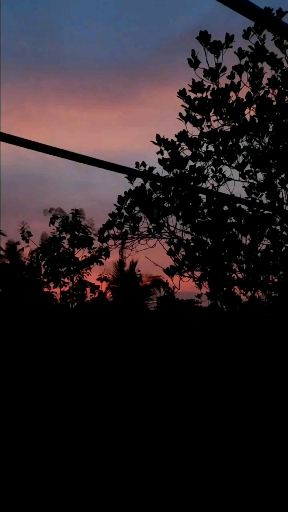 Eve