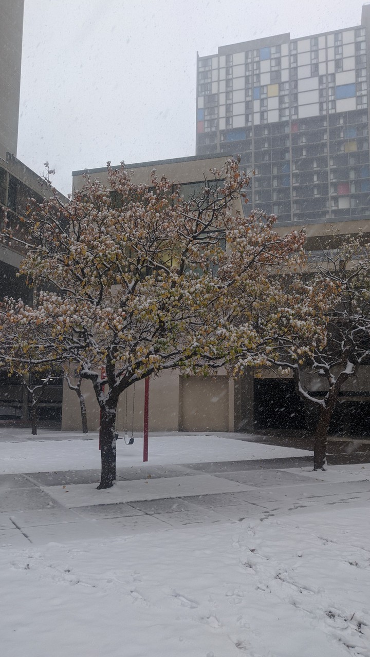 city snow