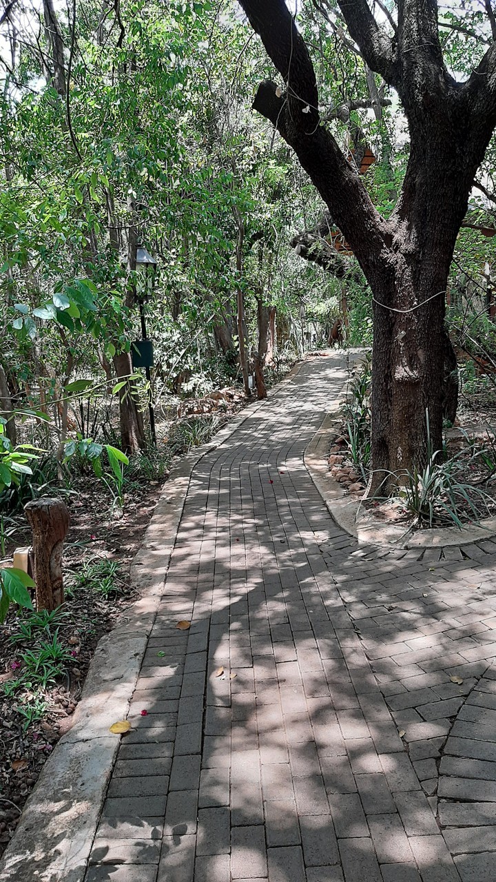 Path to be lost on