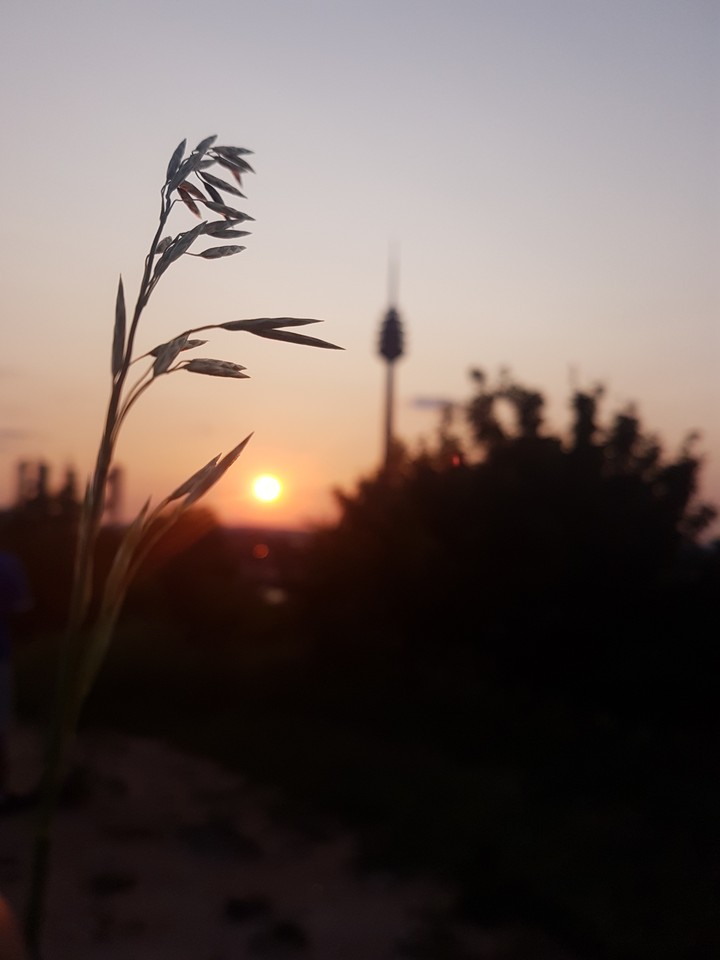 lovely sunset