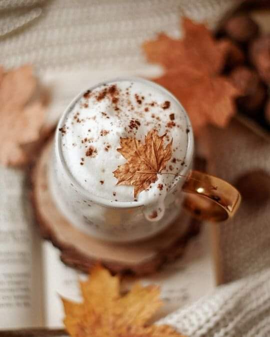 ヾ(๑≧∇≦)ﾉﾞ♥❤