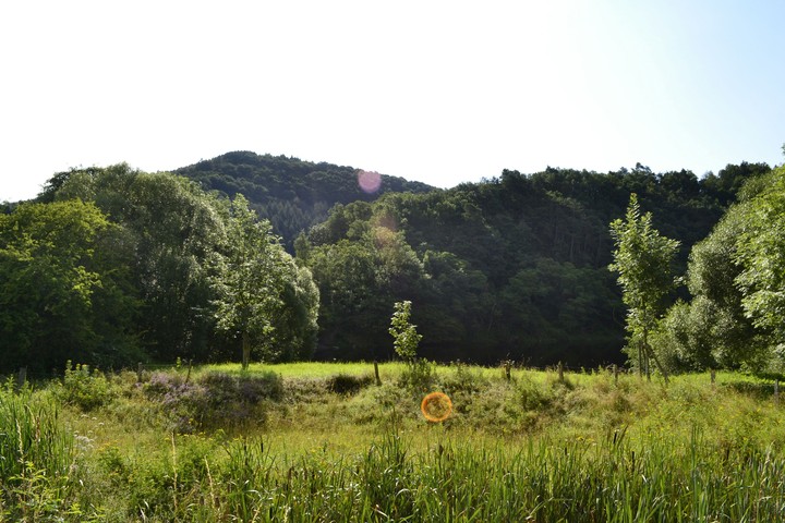 Sunny day in Einruhr (Germany)