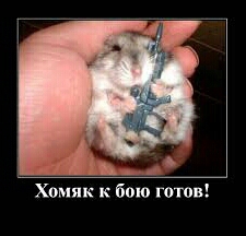 МОЯ НЯЯЯЯША