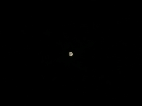 touch the moon