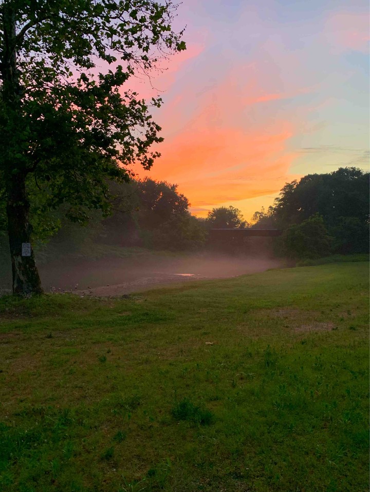 Foggy Park