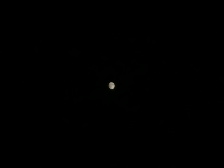 touch the moon