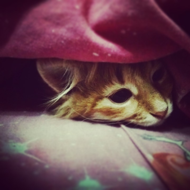 Good night