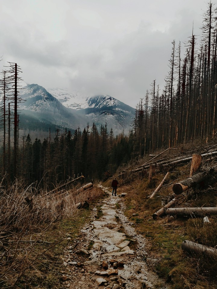 mountains