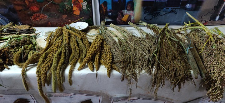 grains