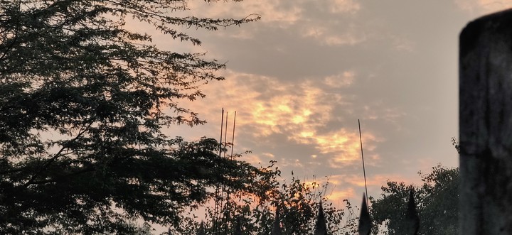 winter evenings