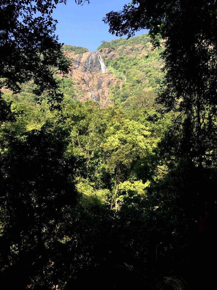 Goa Dudhsagar Falls