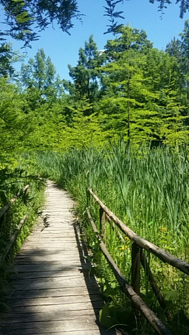 unknown road