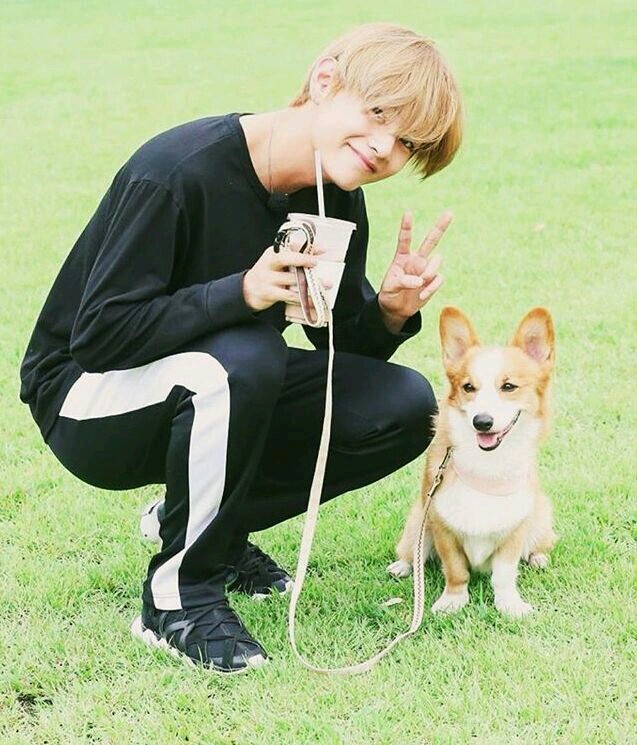 V and dog