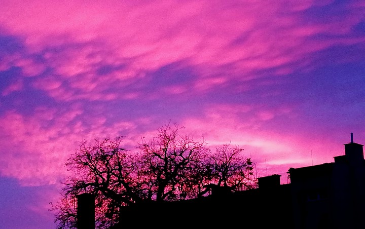 Pink sunset